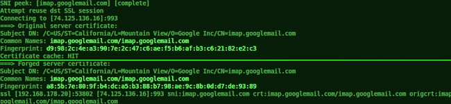 bezpieczeństwo IT - hacking SSL protocol