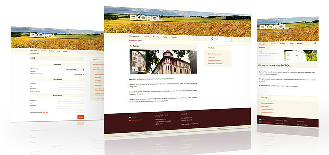 ekorol - projekt graficzny & seo webdesign wykonany przez szkoleniami.pl