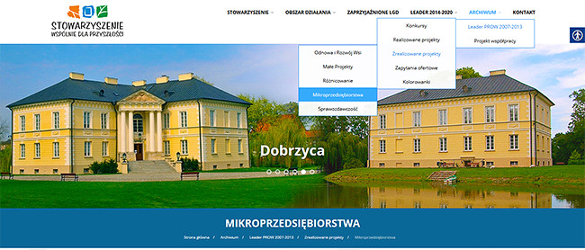 Strona internetowa dla LGD (Lokalna Grupa Działania)
