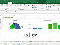 Excel dla finansistów i księgowych - szkolenie w Kaliszu