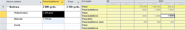 Tutorial - MS Project - praca budżetowa